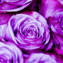 手机号在线轰炸测试